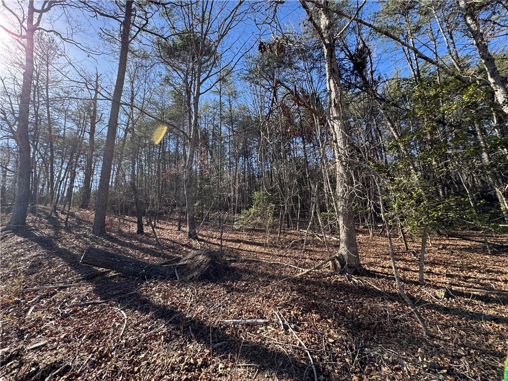 Tract A+B Old Unity Rd Road