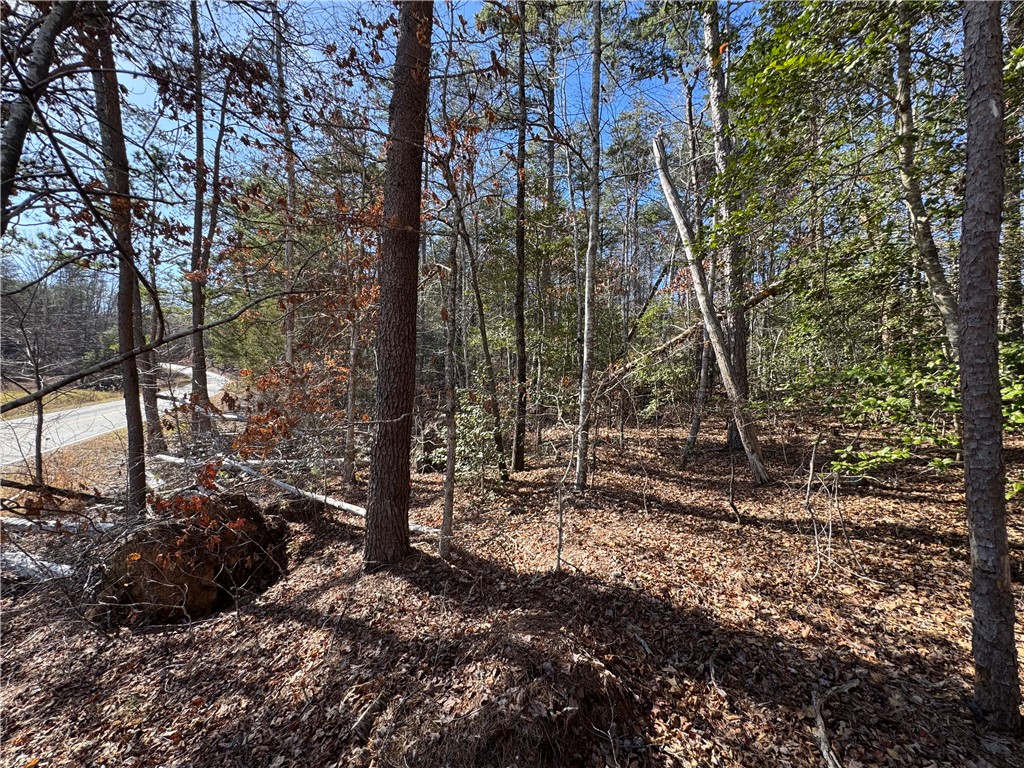 Tract A+B Old Unity Rd Road