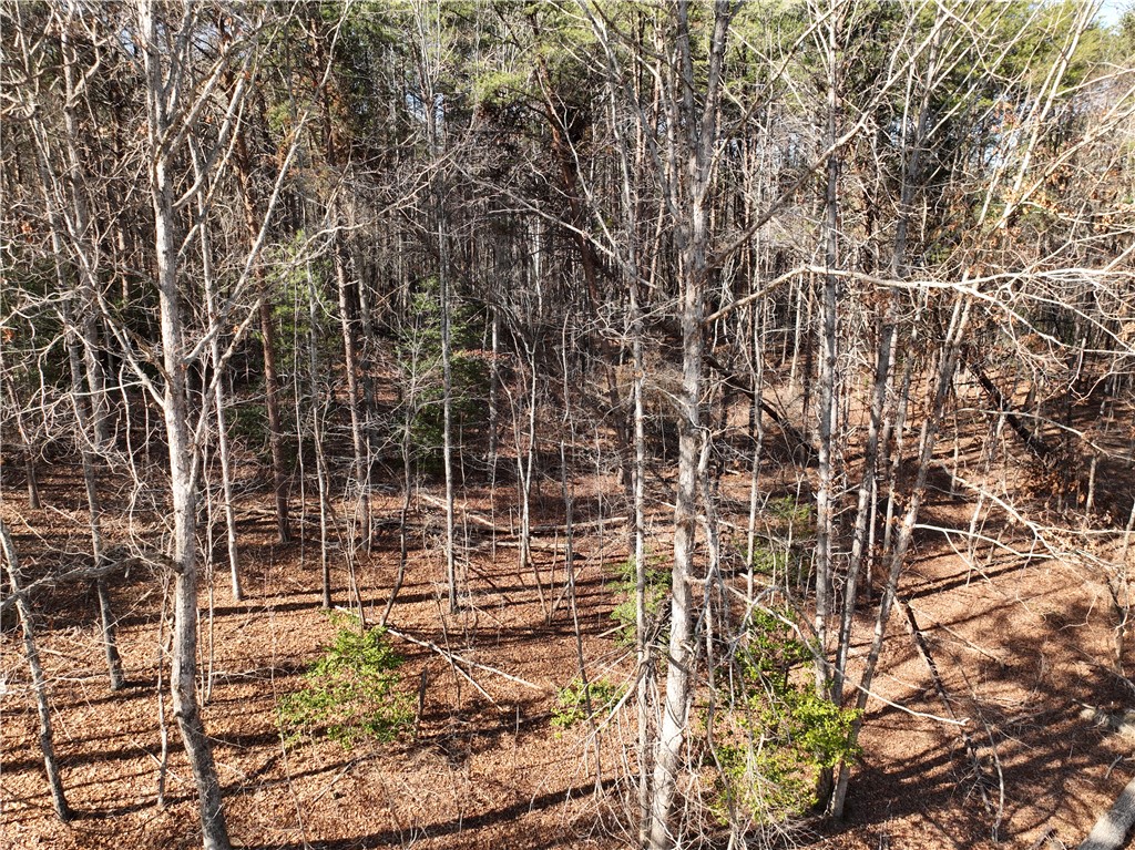 Tract A+B Old Unity Rd Road