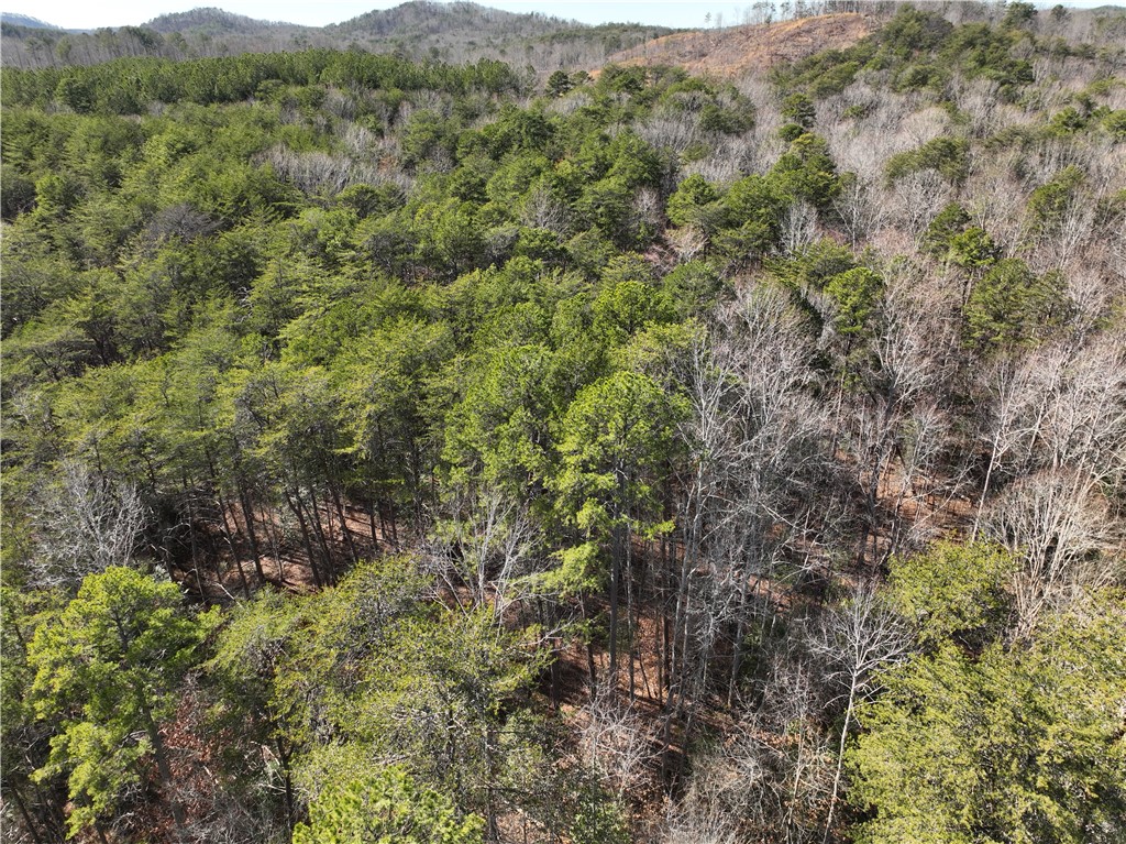 Tract A+B Old Unity Rd Road