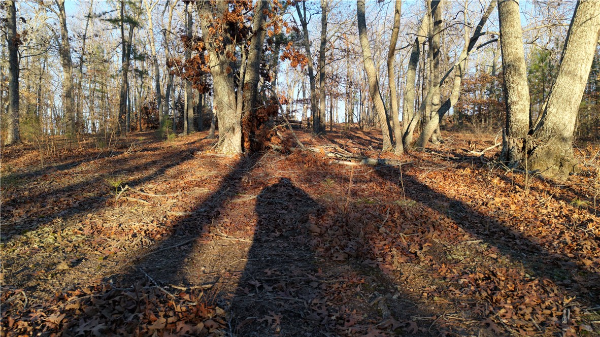 303 Monticello Court