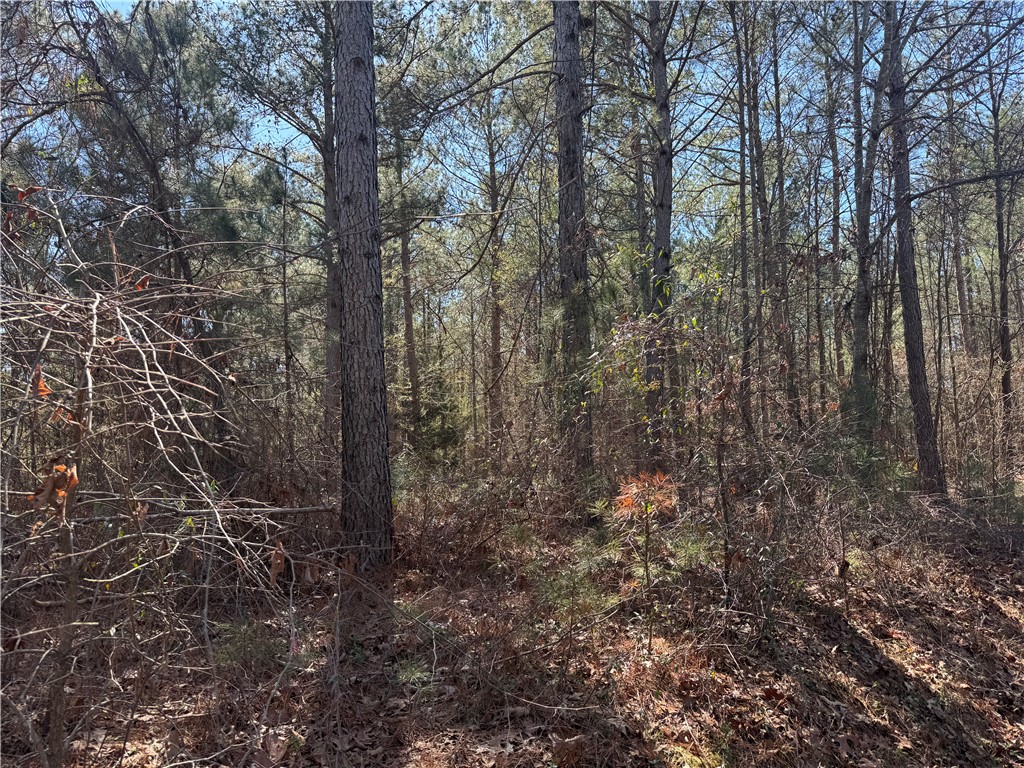 239 Fishers Cove Road