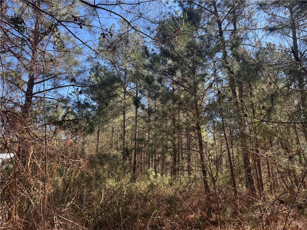 239 Fishers Cove Road