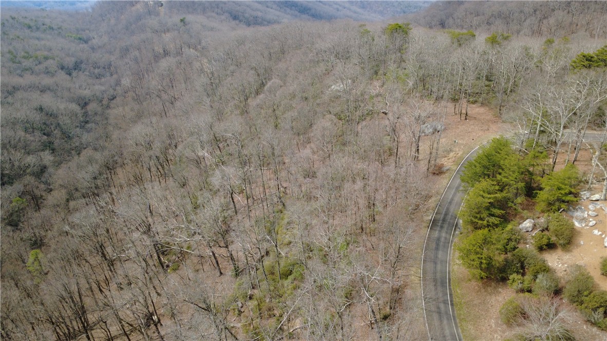 65 Big Pine Rock Way