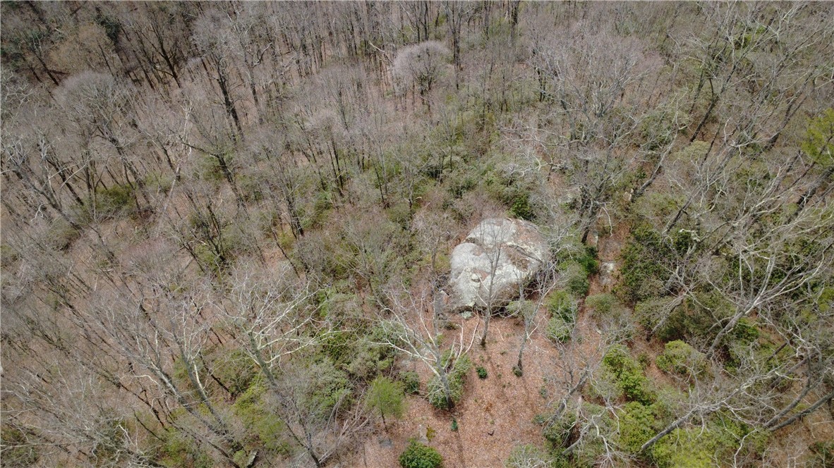 65 Big Pine Rock Way