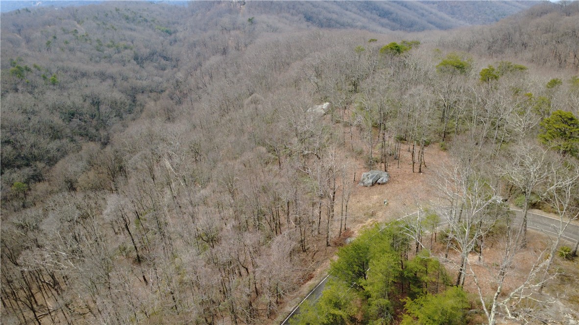 65 Big Pine Rock Way