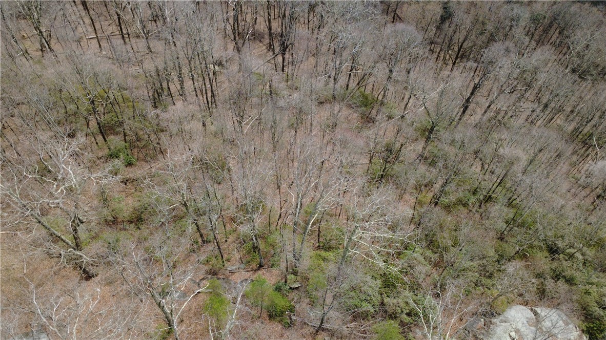 65 Big Pine Rock Way