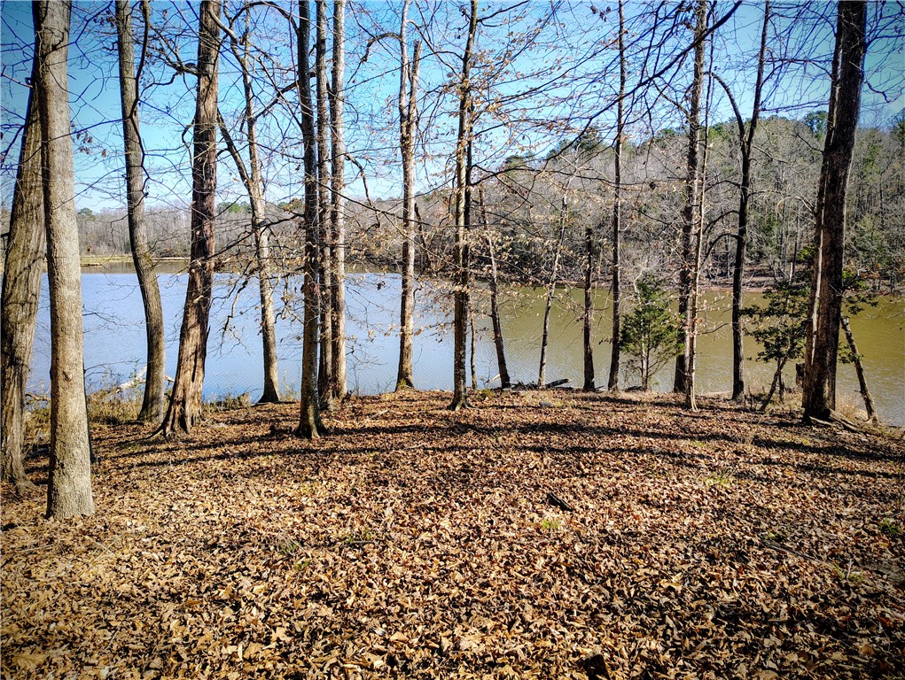 144 Latham Drive