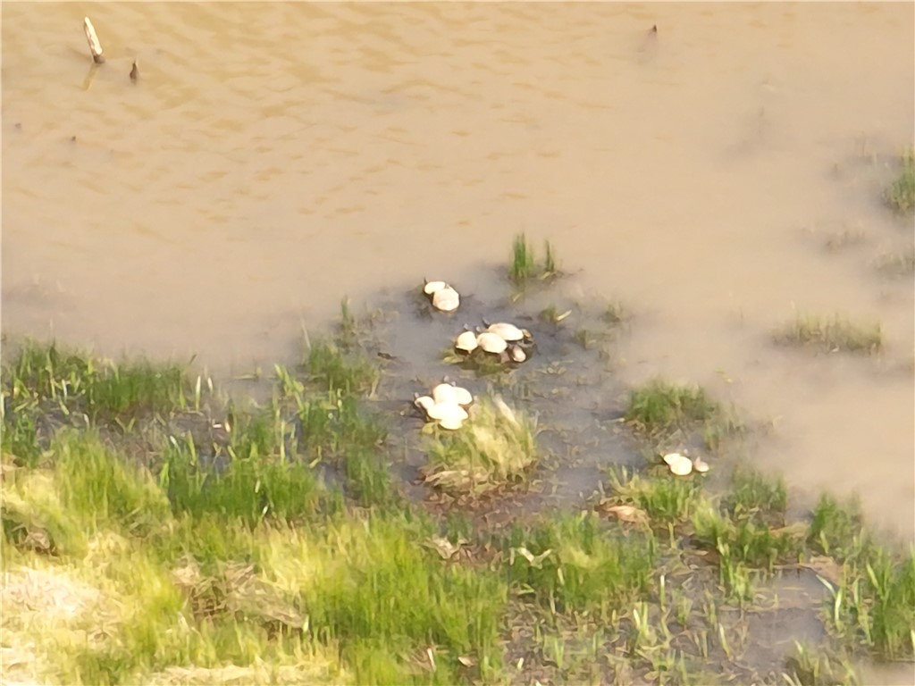 1240 Walhalla Highway