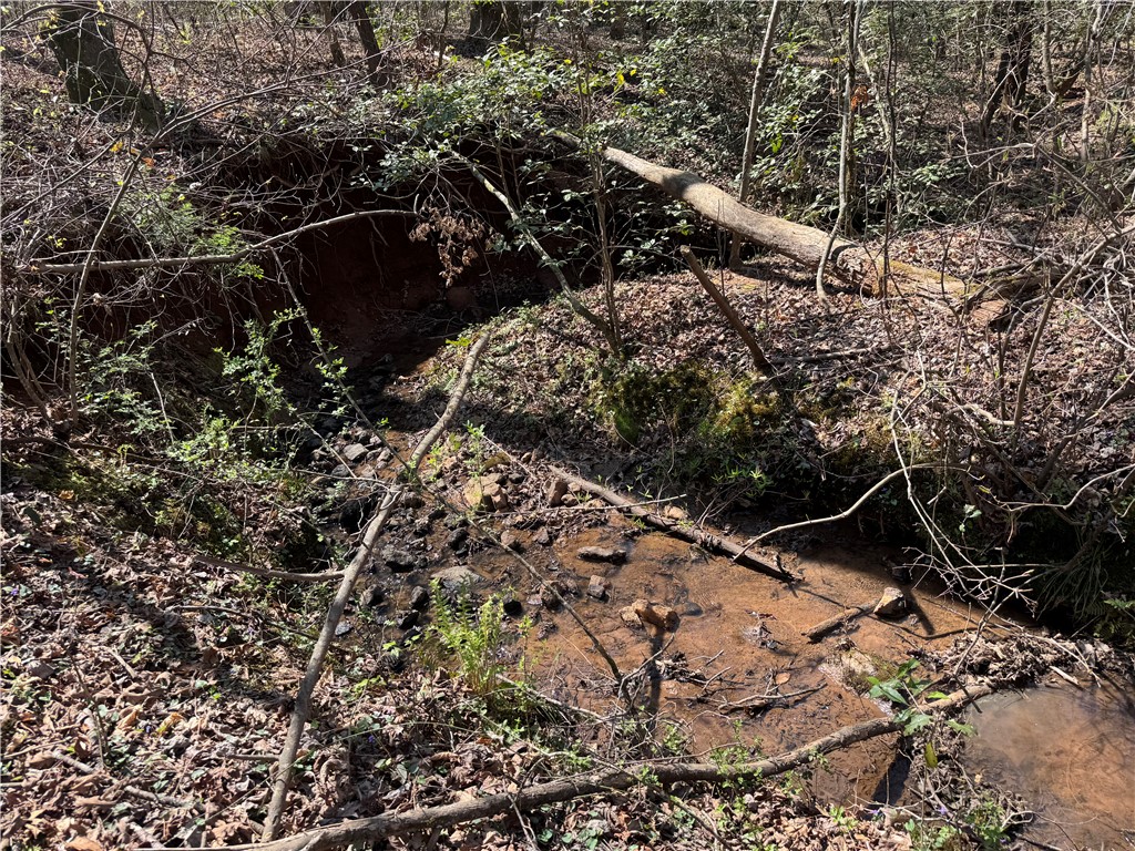 1240 Walhalla Highway