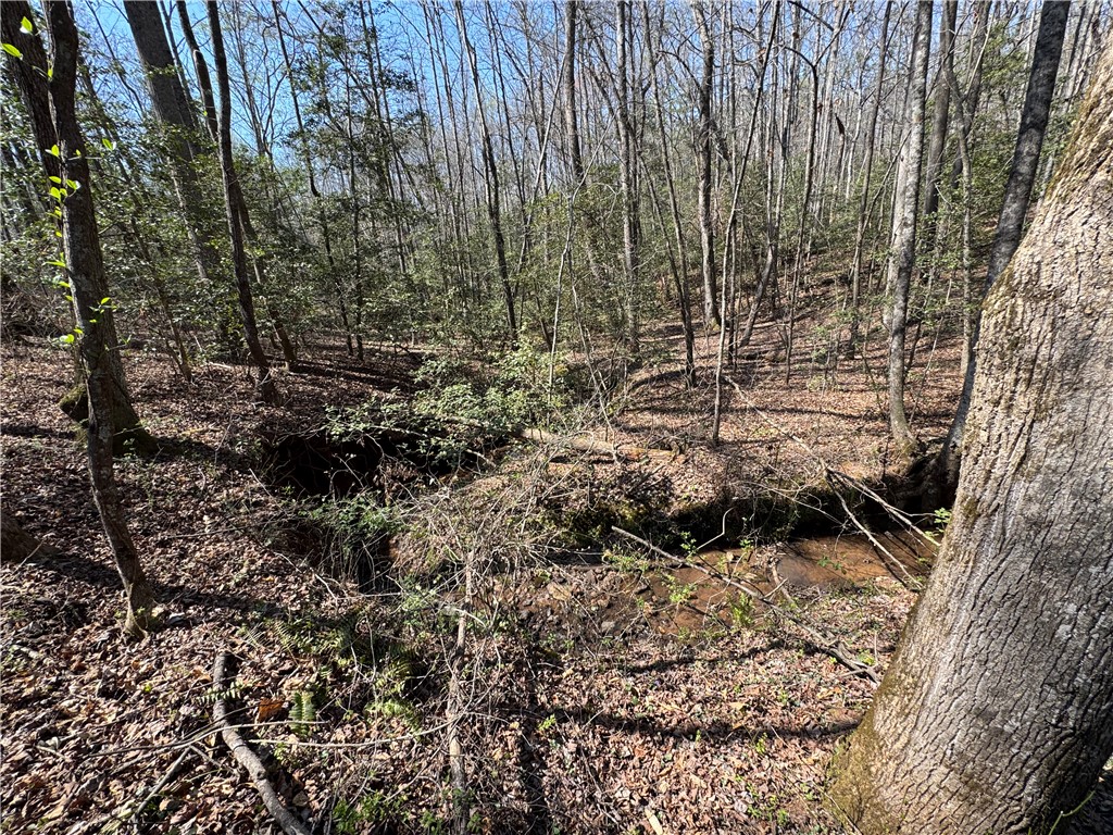 1240 Walhalla Highway