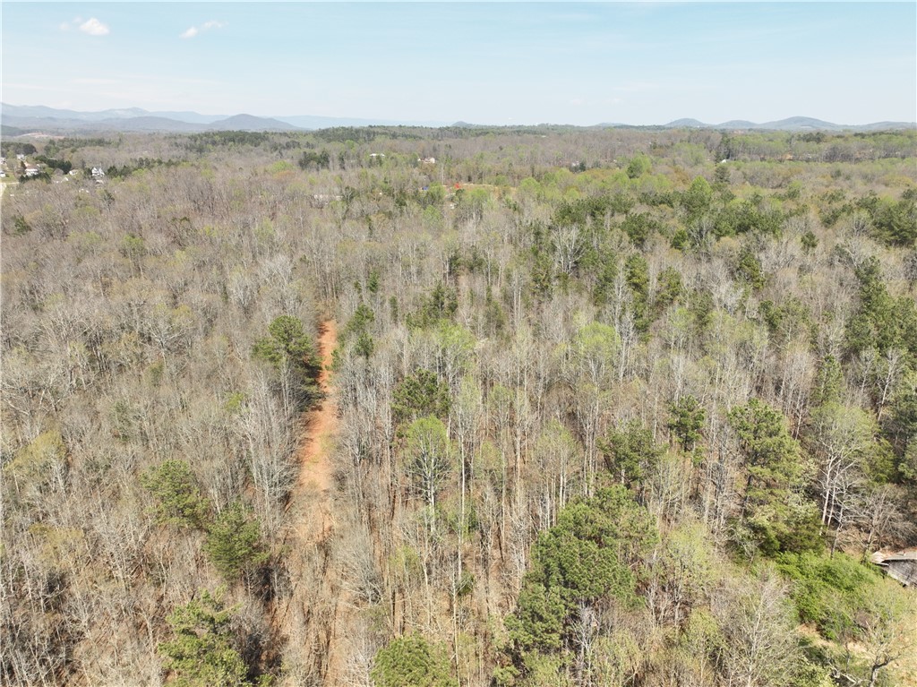 1240 Walhalla Highway