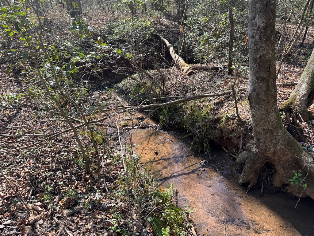 1240 Walhalla Highway