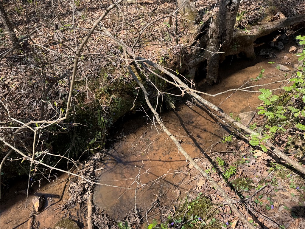 1240 Walhalla Highway