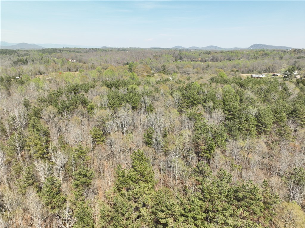 1240 Walhalla Highway