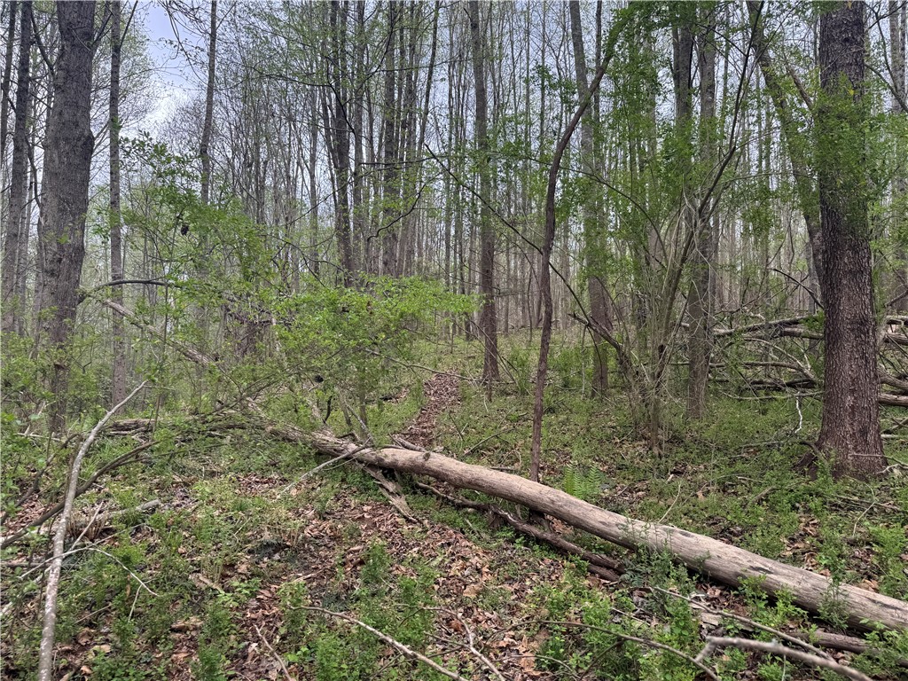 850 Lebanon Road