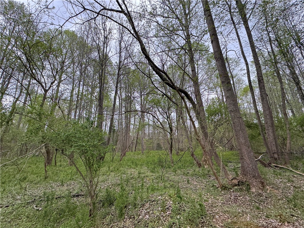 850 Lebanon Road