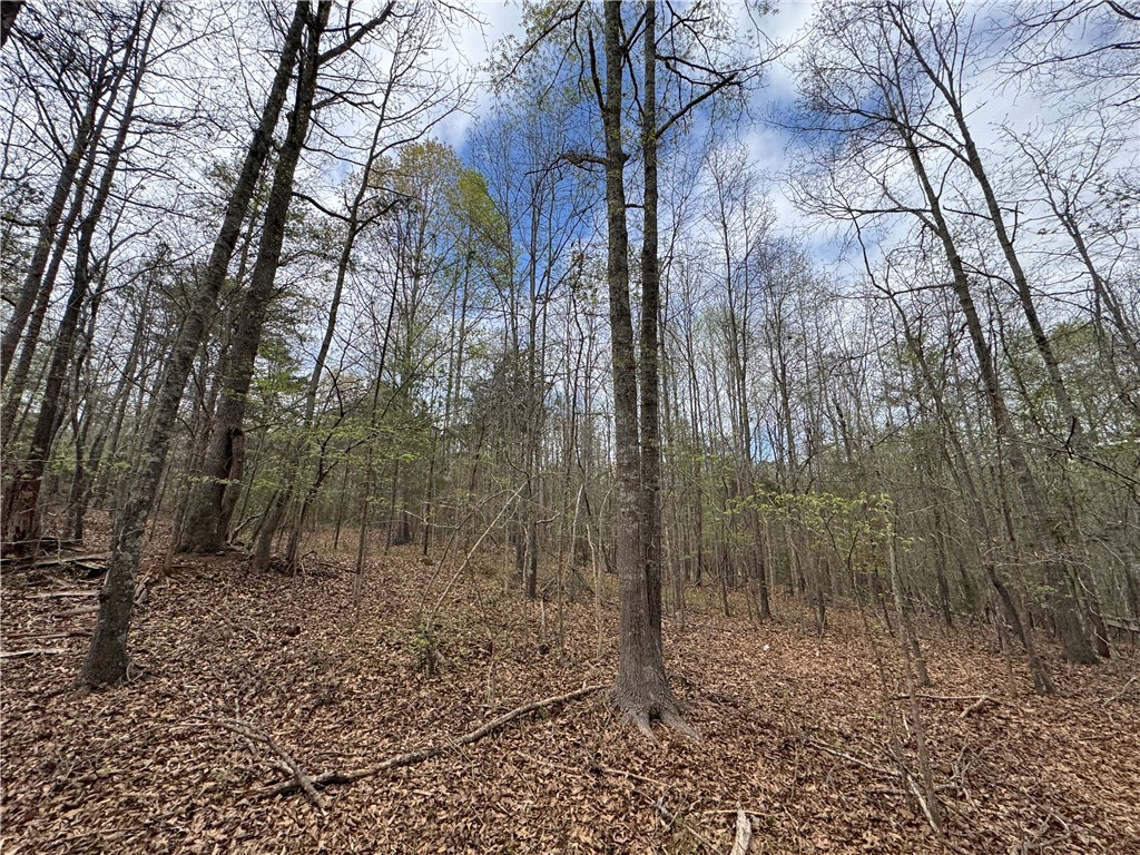 850 Lebanon Road