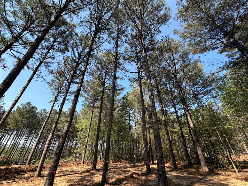 206 Fishers Cove Road