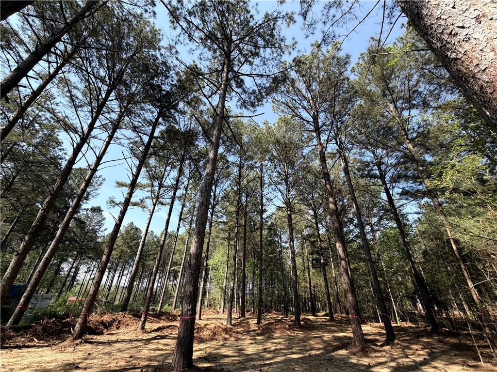 206 Fishers Cove Road