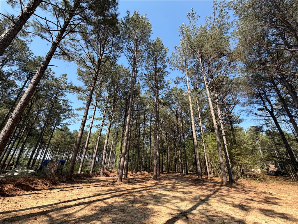 206 Fishers Cove Road