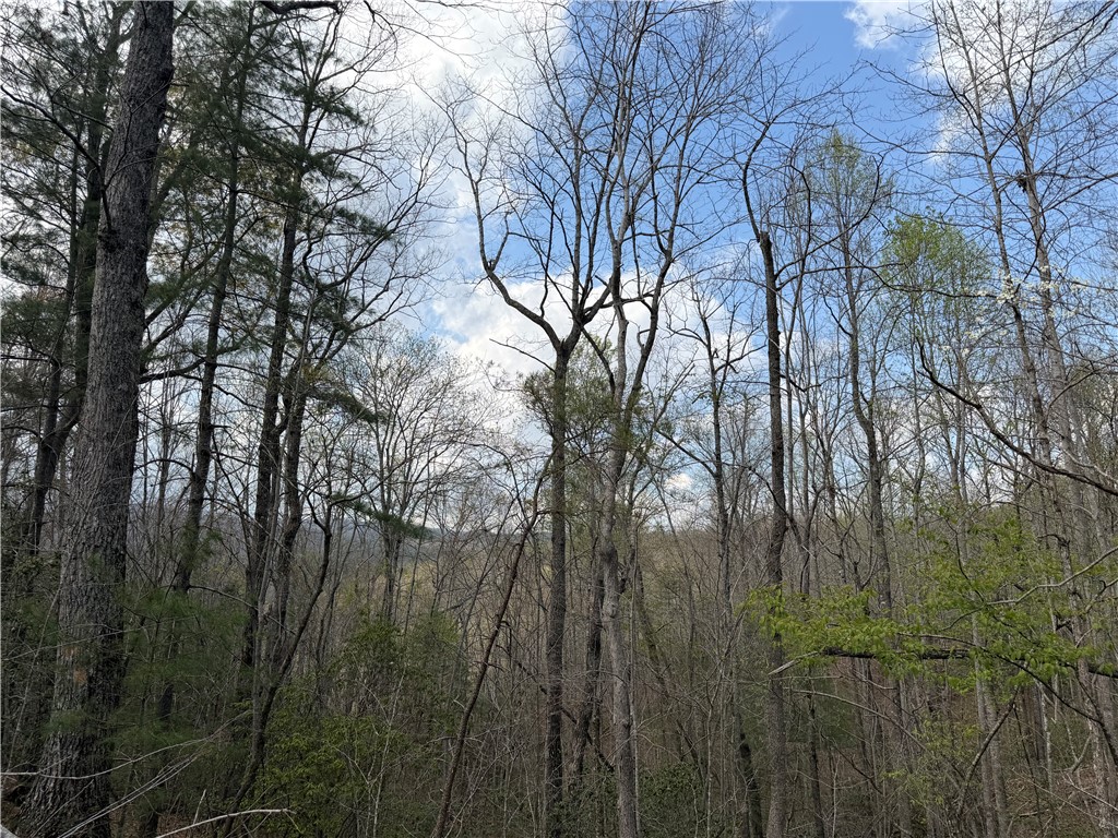 45 Emerald Crest Lane