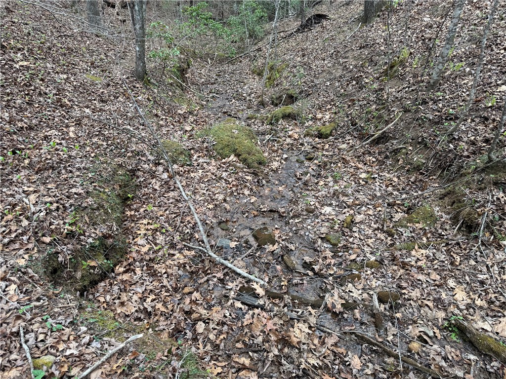 45 Emerald Crest Lane