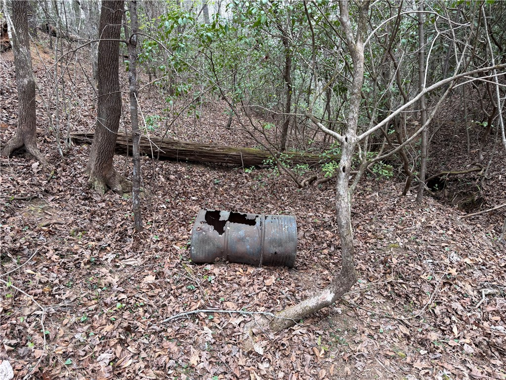 45 Emerald Crest Lane