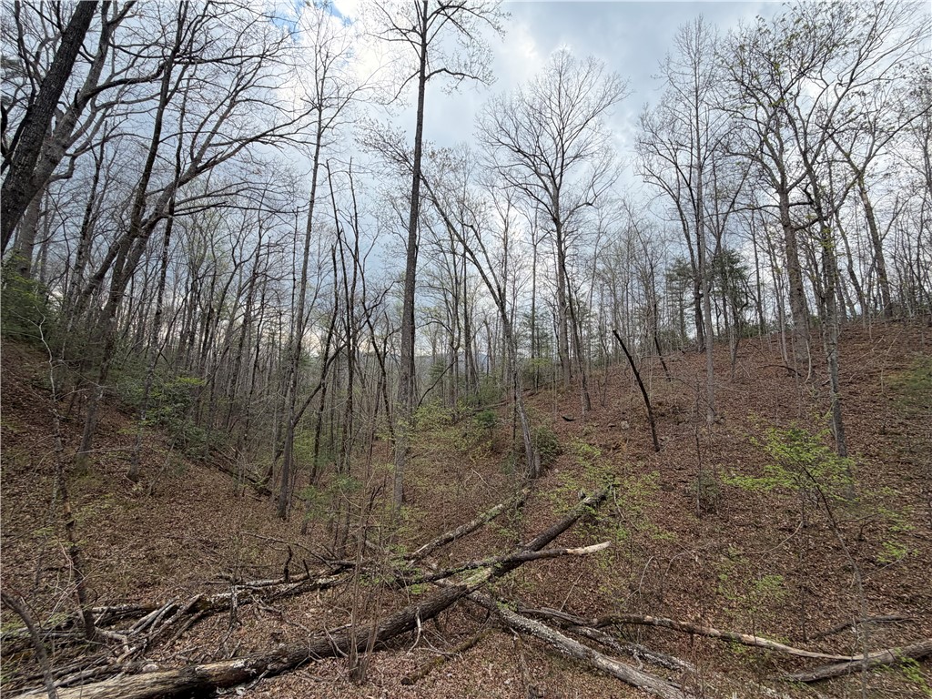 45 Emerald Crest Lane