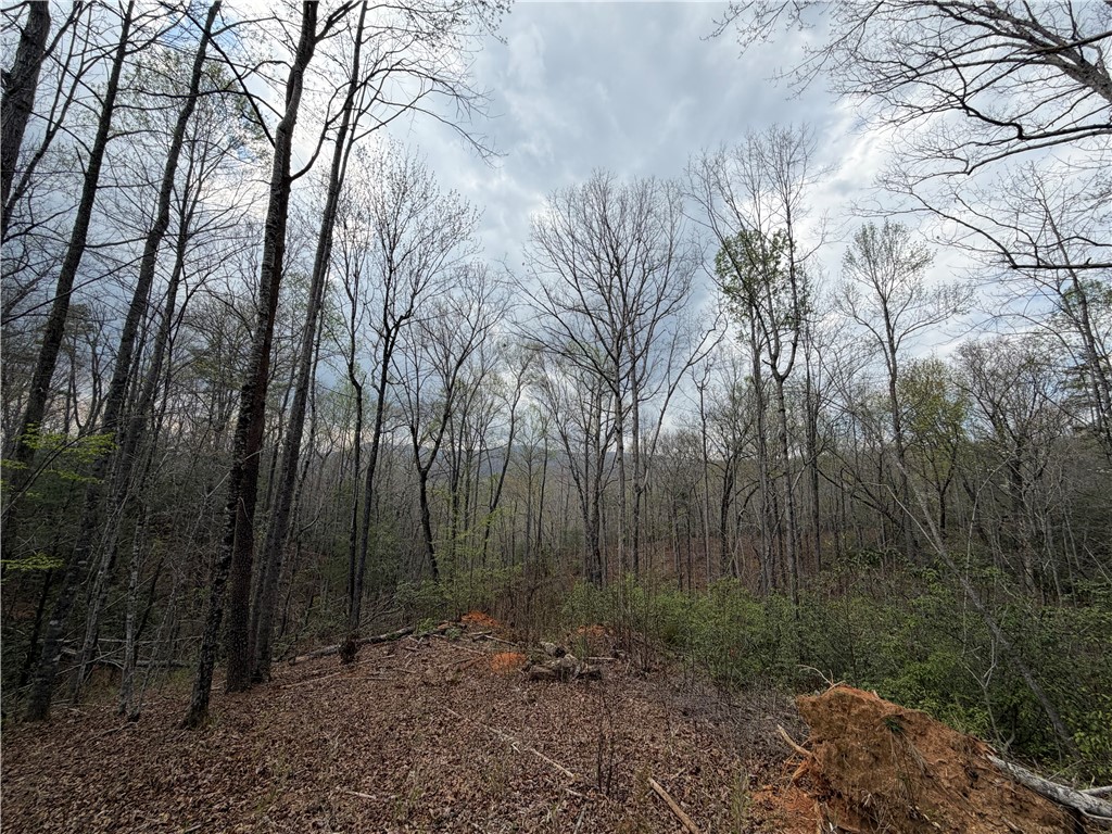 45 Emerald Crest Lane