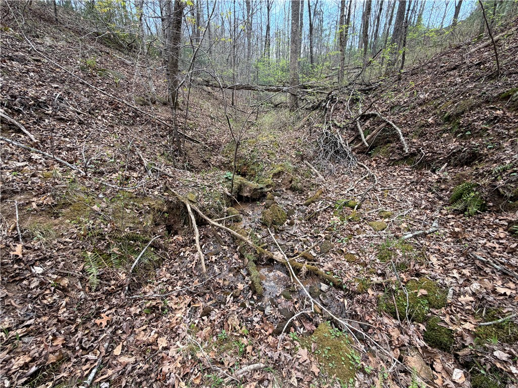 45 Emerald Crest Lane