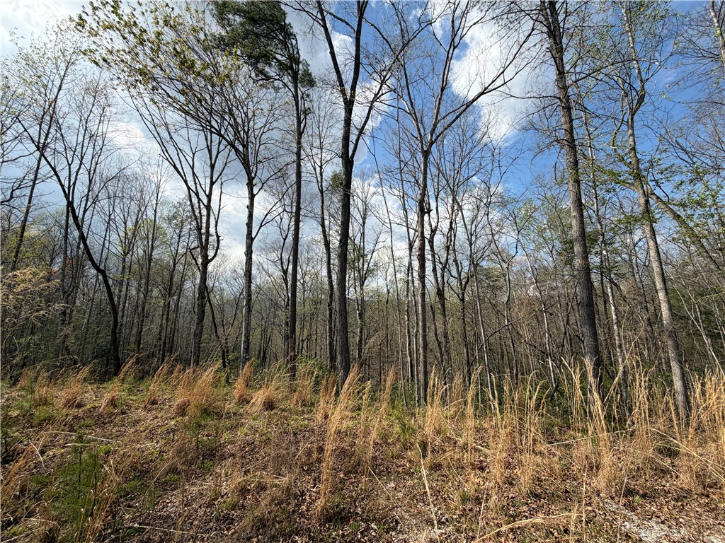 45 Emerald Crest Lane