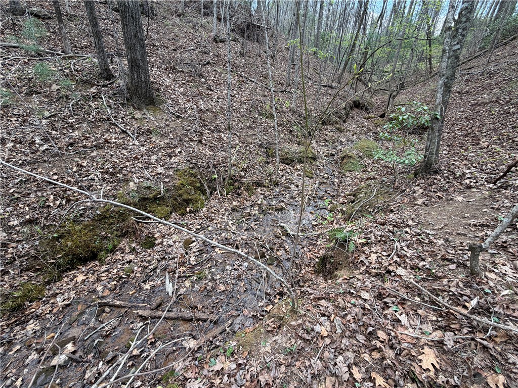 45 Emerald Crest Lane