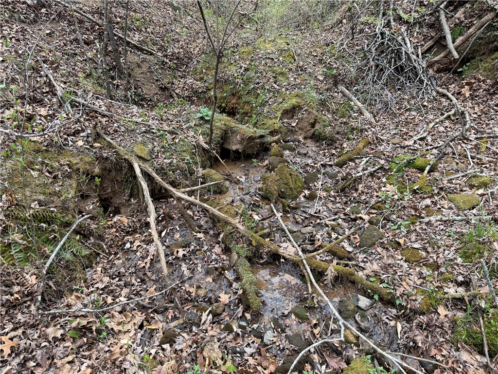 45 Emerald Crest Lane