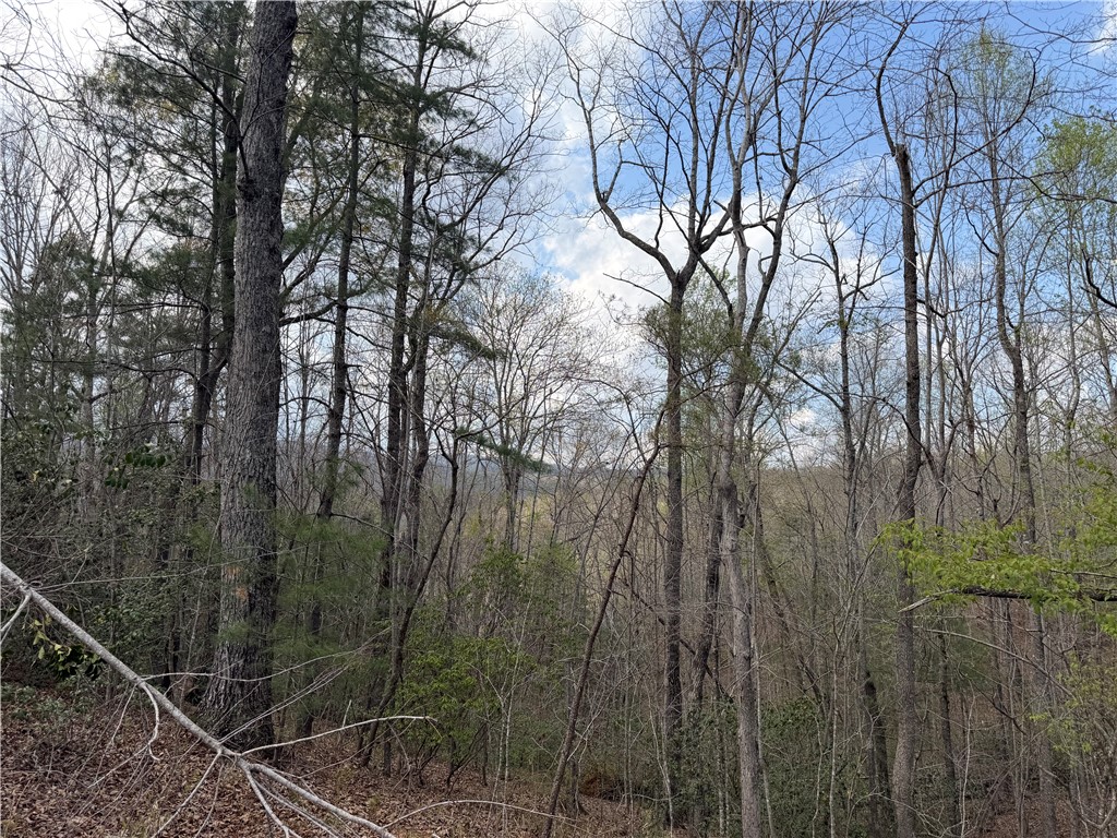 45 Emerald Crest Lane