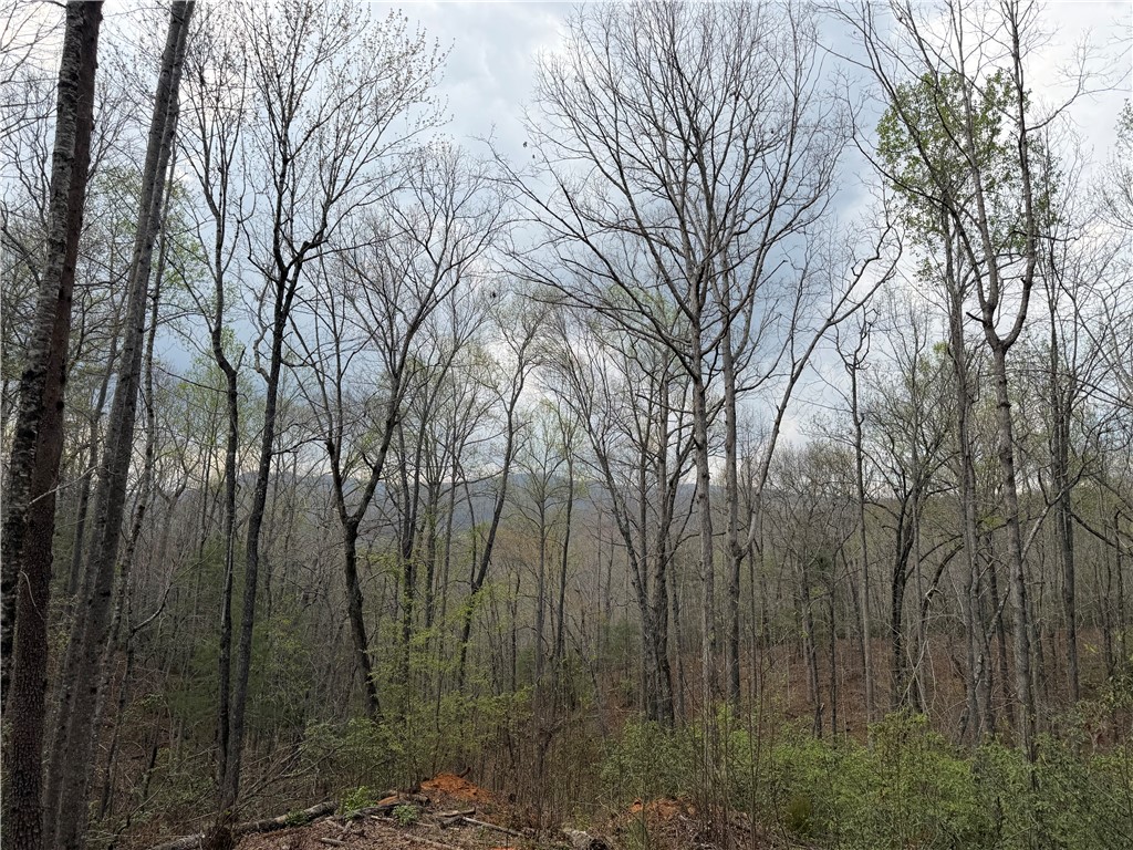 45 Emerald Crest Lane