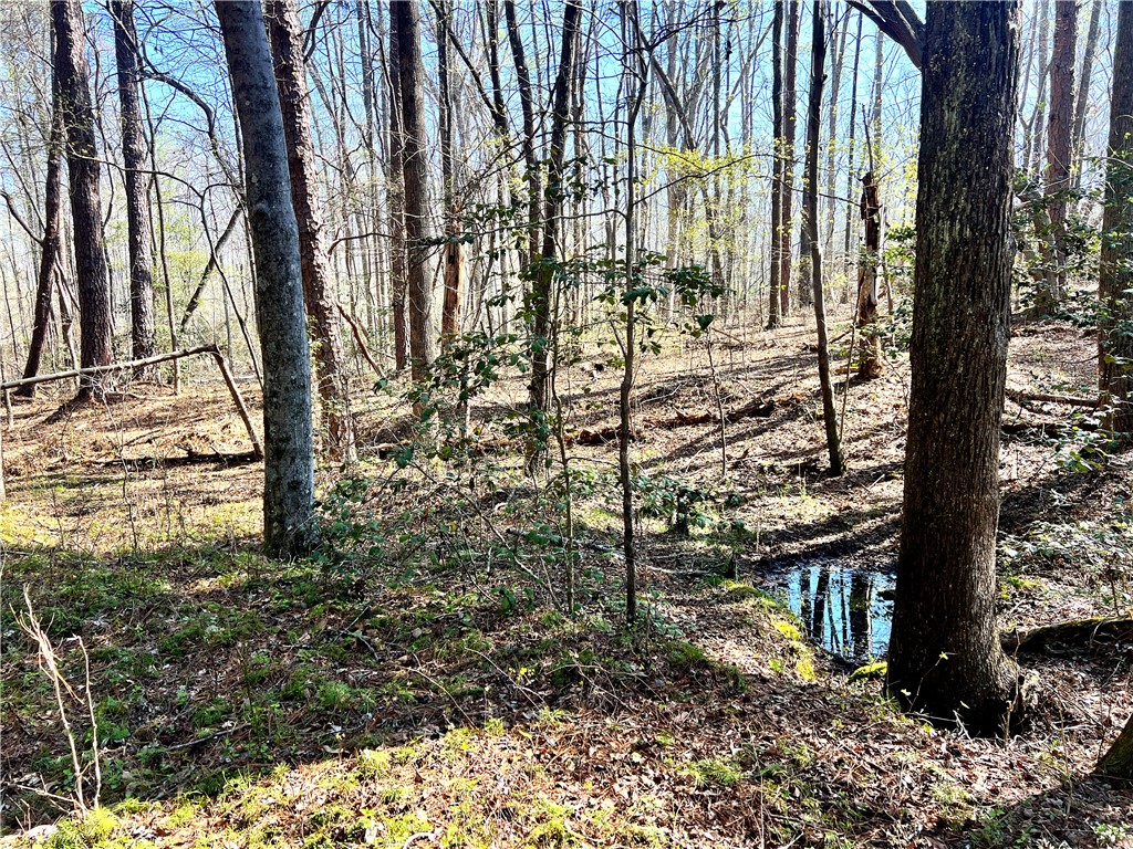 900 Simpson Road