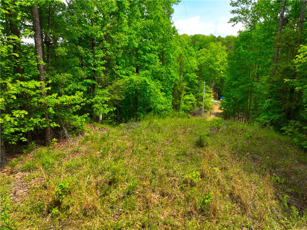 183 Chauga Valley Road