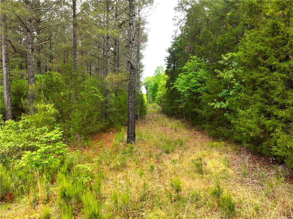 3170 Highway 20