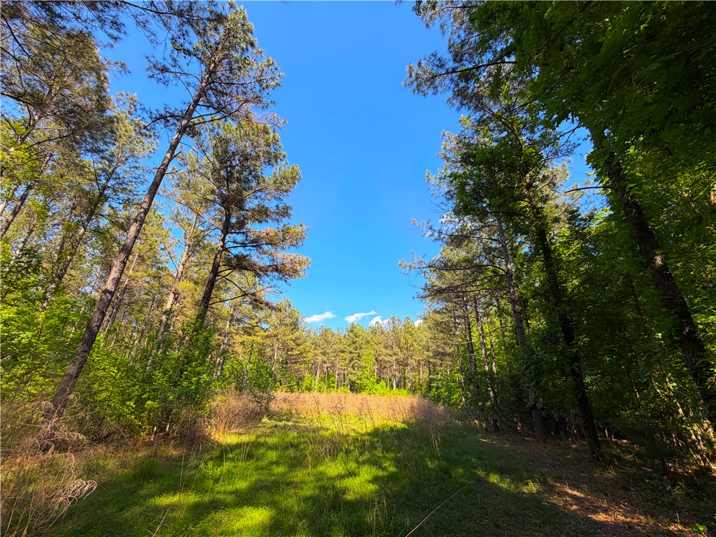 3170 Highway 20