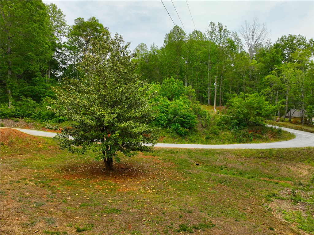 993 Barton Road