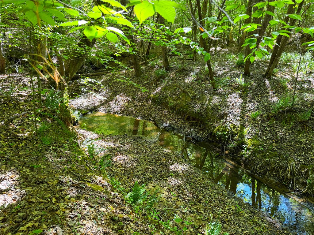 3172 Highway 20