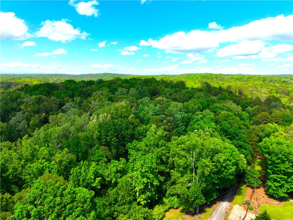 312 Bertha Allen Road
