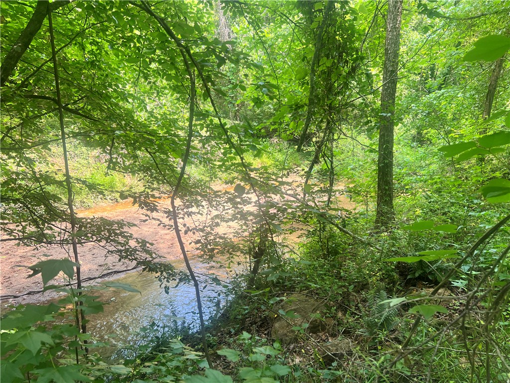 110 Holly Creek Drive