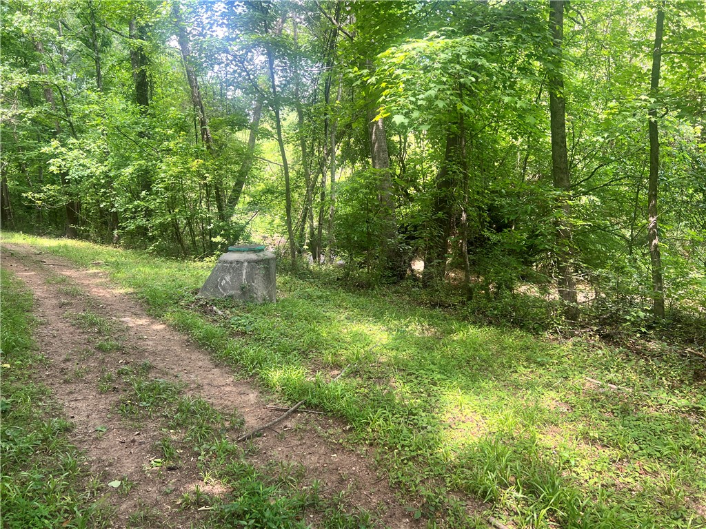 110 Holly Creek Drive