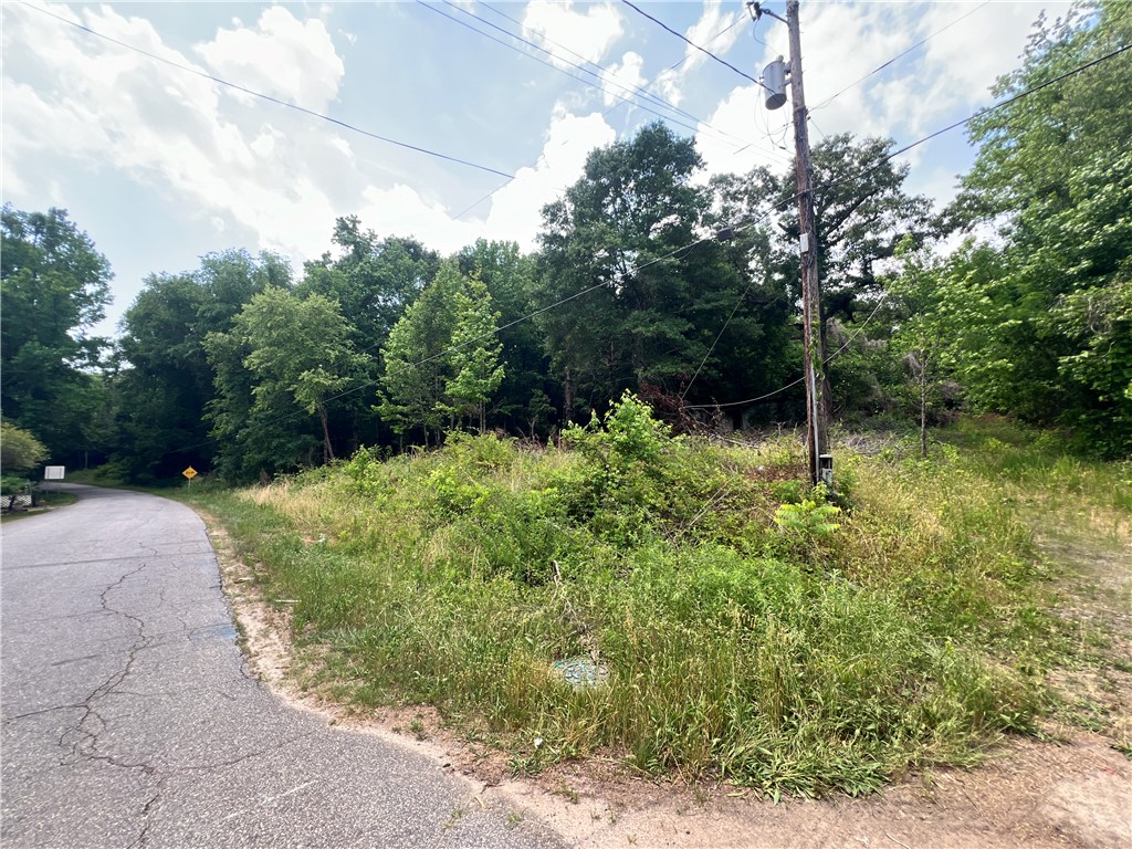 110 Holly Creek Drive