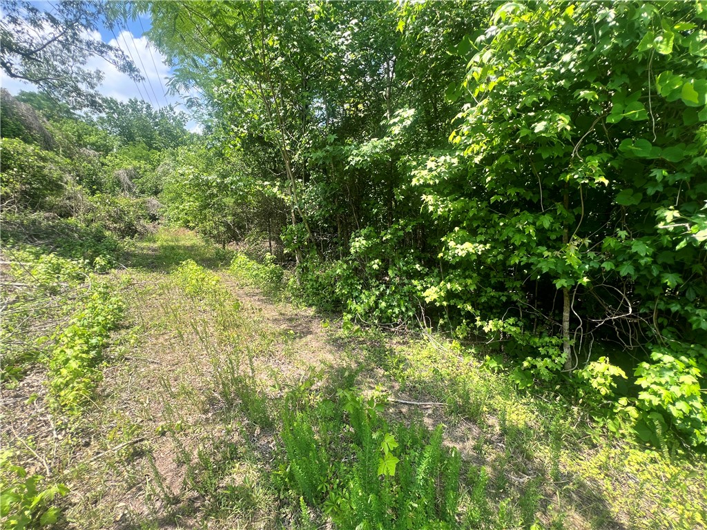 110 Holly Creek Drive