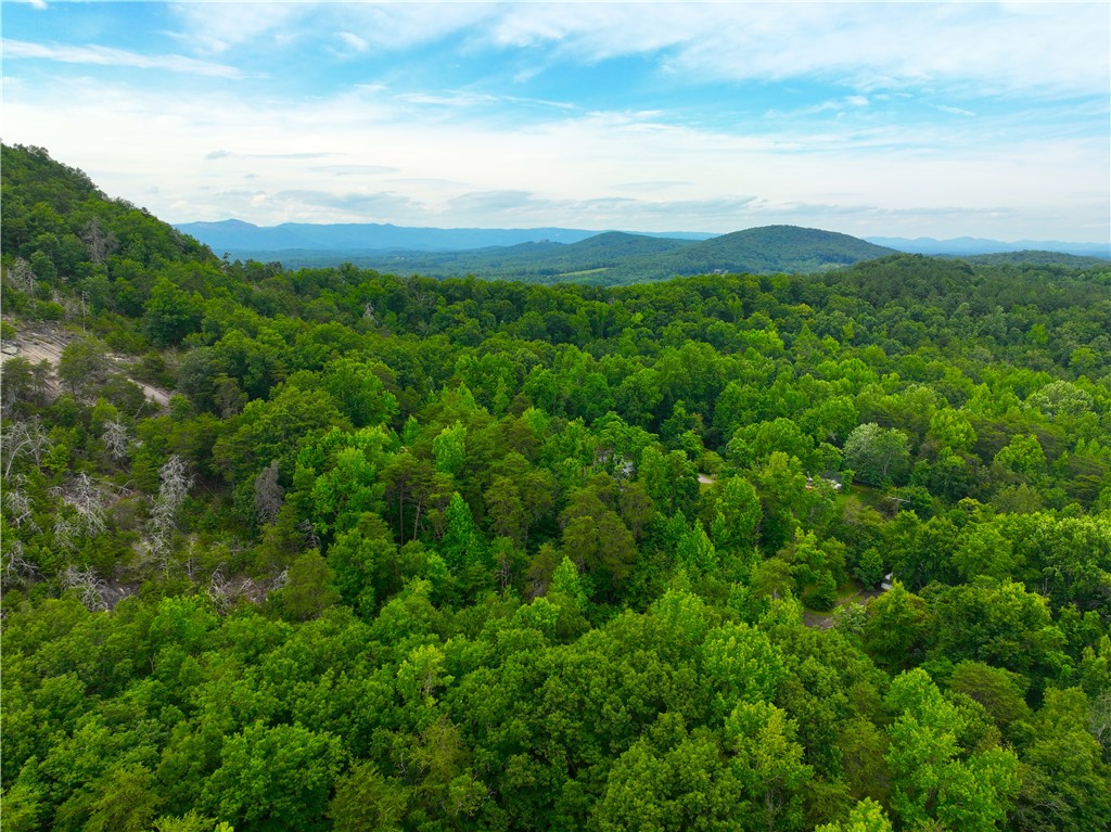 298 Glassy Mountain Church Road