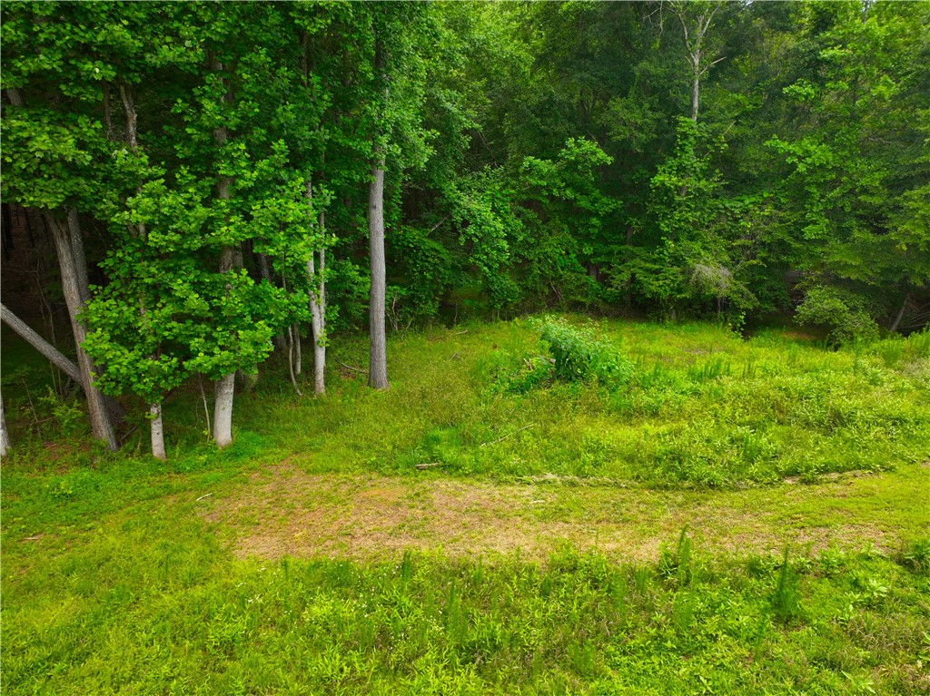 225 Meadow Brook Lane