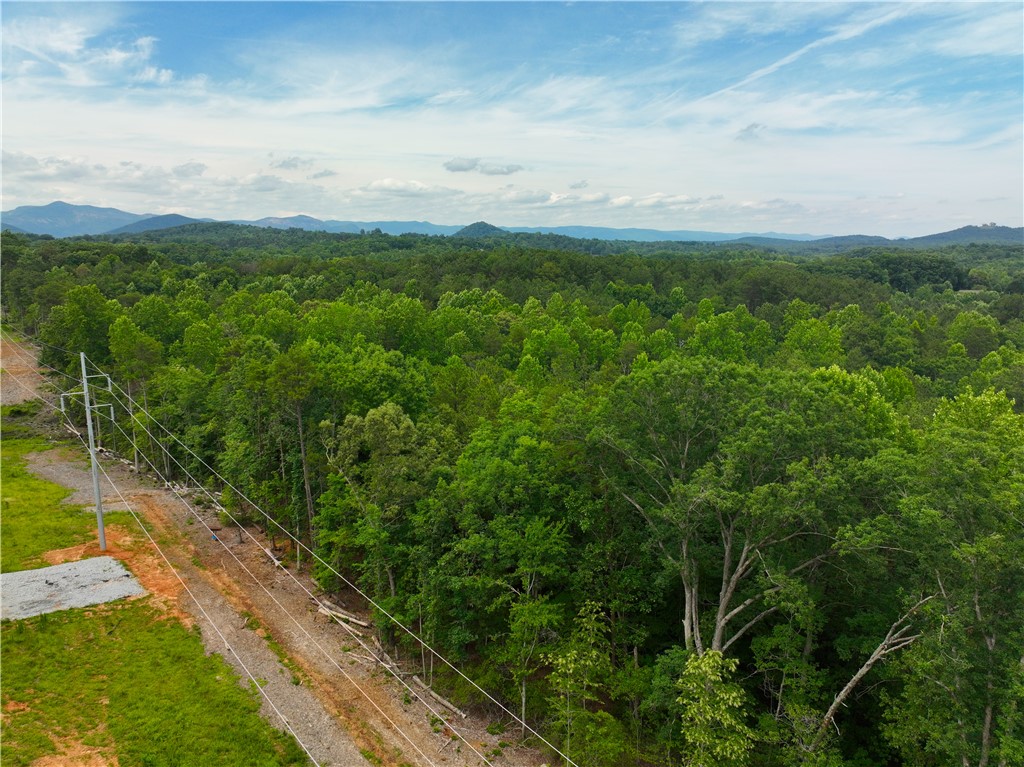 225 Meadow Brook Lane